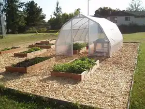 Sunny Brae Middle School GardenA garden at Sunny Brae Middle School