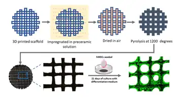 3D Printed SiOC(N) Ceramic Scaffolds for Bone Tissue Regeneration: Improved Osteogenic Differentiation of Human Bone Marrow‐Derived Mesenchymal Stem Cells