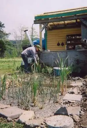 AEF greywaterGreywater system at the CSA, Arcata Educational Farm