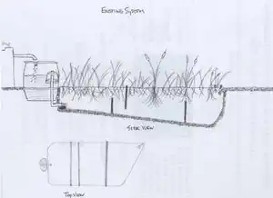 Fig 5: Diagram of new marsh