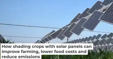 How shading crops with solar panels can improve farming, lower food costs and reduce emissions