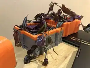 Bitkilerle Aquaponics.jpeg