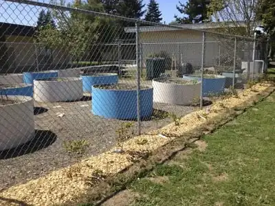 Figure-4: Planter Along Garden Gate.