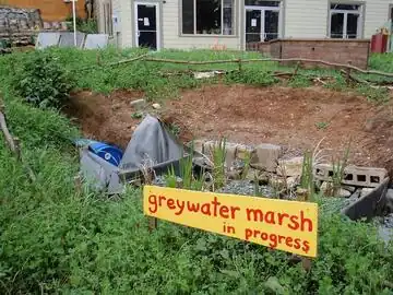 CCAT greywater marsh (current)CCAT Greywater Marsh Continued