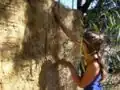 putting the clay slip on the wall