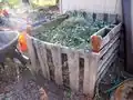 Compost Pile