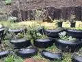 earthship wall in 2014 part 2