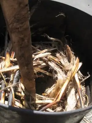 Rocket stove biomass charcoalUse of biomass waste charcoal briquettes for rocket stove