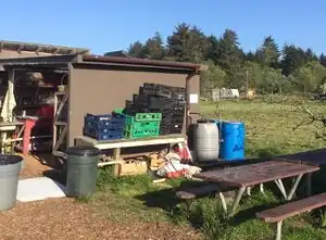 Bayside Park Farm rainwater catchment systemcatchment system that collects and stores rainwater for gardening purposes