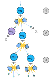 A chain reaction is started when the free neutrons from uranium-235 fission induce fission in other atoms
