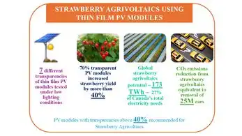Experimental impacts of transparency on strawberry agrivoltaics using thin film photovoltaic modules under low light conditions