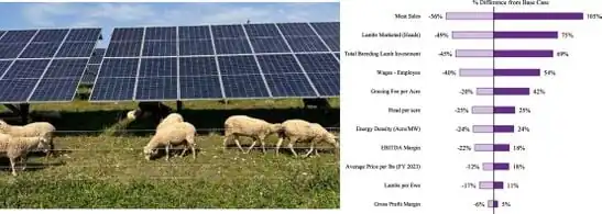 Financial Analysis of Agrivoltaic Sheep: Breeding and Auction Lamb Business Models