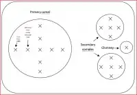 Figure 1. Distribution of measuring points for the Patsari Cookstove