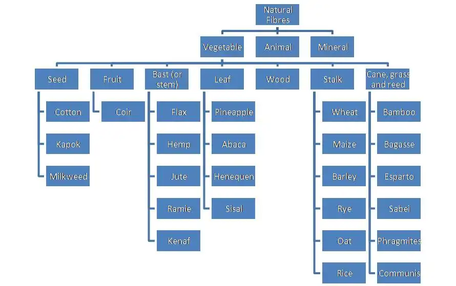 Figure 14: Abundant plant fibres