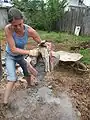 Adding cement to a mixed batch of earth + sand.