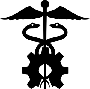 Economic Efficiency of an Open-Source National Medical Lab Software in Canada