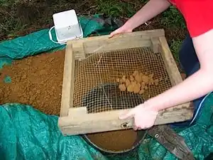Large clay chunks being screened out