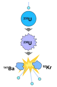 A diagram of a uranium-235 fission reaction. The fission results in two separate atoms, barium-141 and krypton-92, as well as releases 2-3 neutrons and beta radiation.