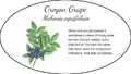 Oregon Grape