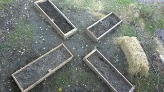 Primary garden to kitchenGarden beds for primary students to grow veggies for the kitchen