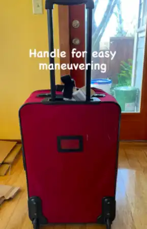 Image 2. Back of prototype suitcase, 24 x 16 inches.