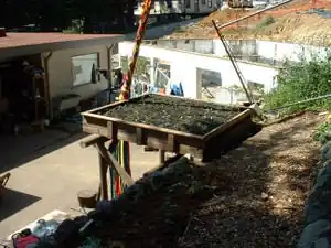 CCAT's living roofReplacing CCAT's living roof