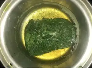 Toxic Analysis of Leaf Protein Concentrate Regarding Common Agricultural Residues