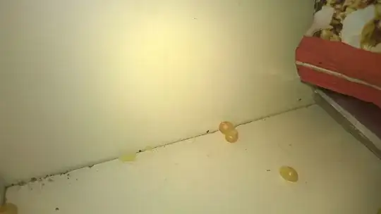 zoomed out slightly, so you can see the scale properly. These guys are *tiny*