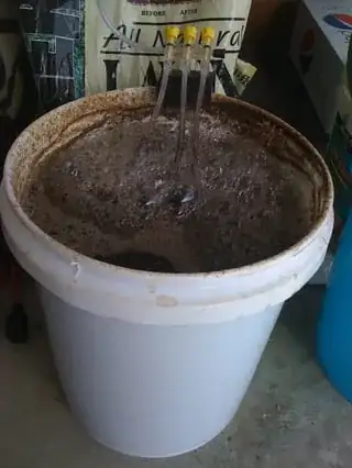 Brewing Compost Tea