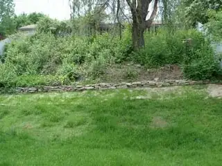 Back garden slope after grass seeding