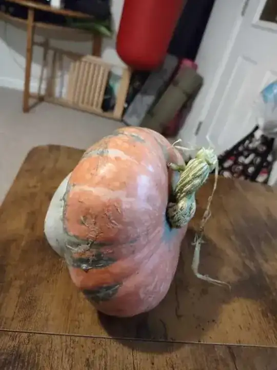 Weird Pumpkin - Top (Glass Slipper)