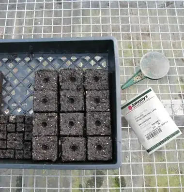 2" and 3/4" blocks in tray