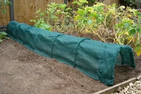 Thick-mesh Grow Tunnel
