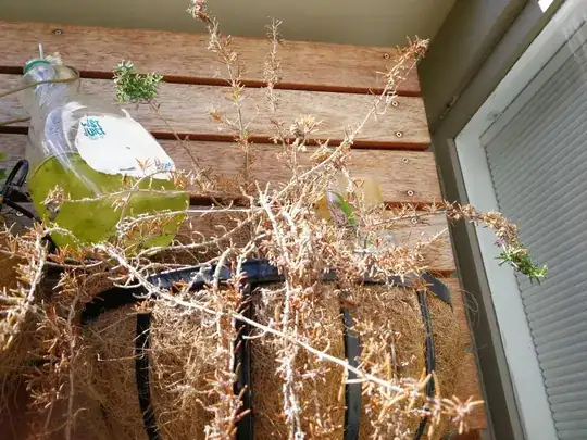 enter link description here