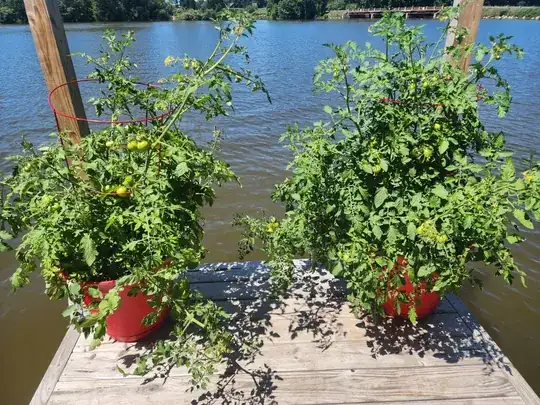 [1]: https://i.stack.imgur.com/Z6rAd.jpg