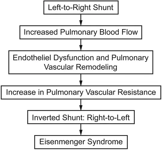 Pathophysiology of Eisenmenger’s syndrome