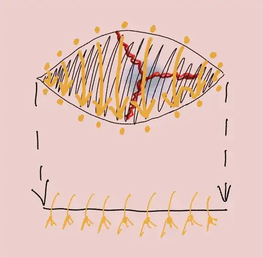 my drawing of an elliptical excision and suturing