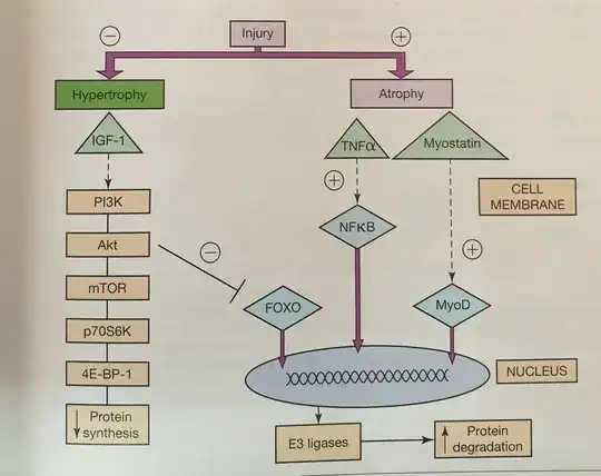 From Love and Bailey