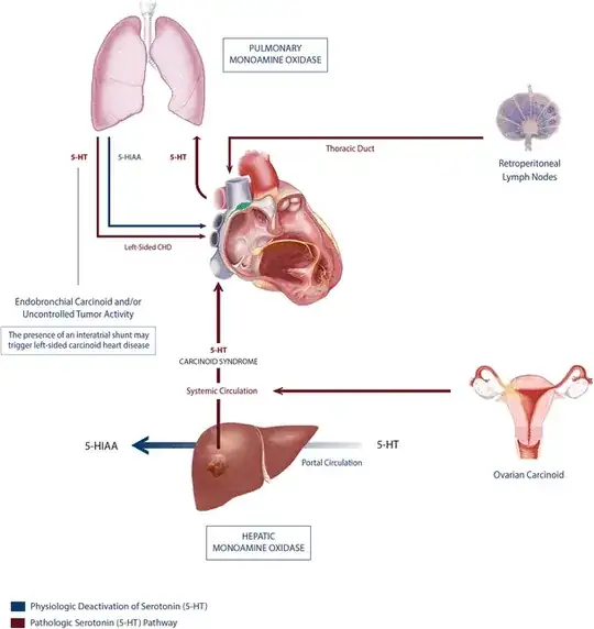 Movement of serotonin in carcinoid syndrome