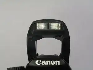 Flash Bulb