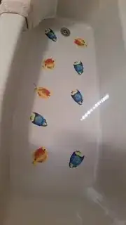 Click photo for full size enter image description here