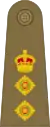 Colonel