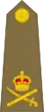 Lieutenant-General