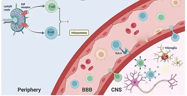Mechanism of action