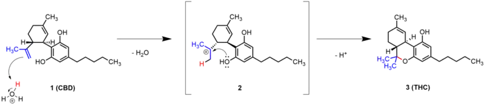Intramolekulare cyklisierung von CBD zu Δ9-THC
