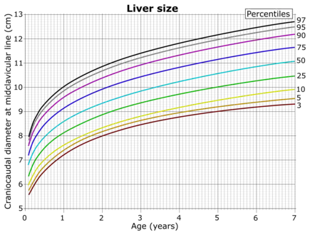 Right lobe of the liver at the midclavicular line at ages 0 to 7.