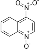 Structural formula of 4-nitroquinoline 1-oxide