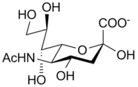 N-acetylneuraminic acid