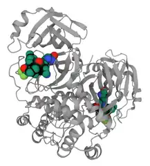 Nirmatrelvir bound to 3CL PDB: 7RFW