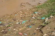 Open defecation along a riverbank in Bujumbura, Burundi